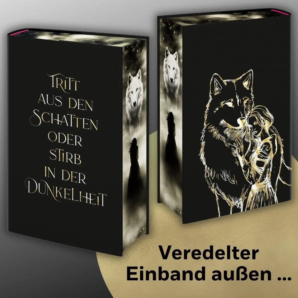 Bild: 9783442302437 | Dire Bound | Sable Sorensen | Buch | Die Wolves-of-Ruin Reihe | 832 S.