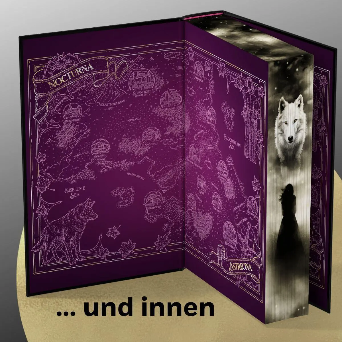 Bild: 9783442302437 | Dire Bound | Sable Sorensen | Buch | Die Wolves-of-Ruin Reihe | 832 S.