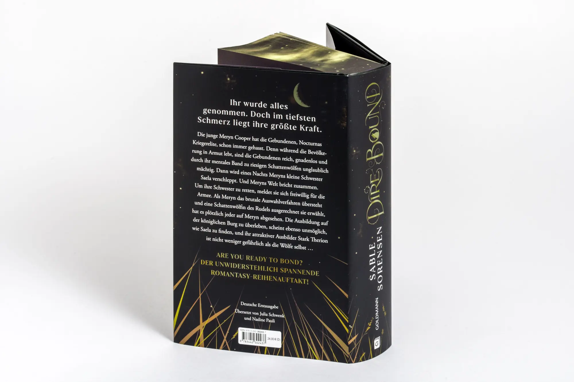 Bild: 9783442302437 | Dire Bound | Sable Sorensen | Buch | Die Wolves-of-Ruin Reihe | 832 S.