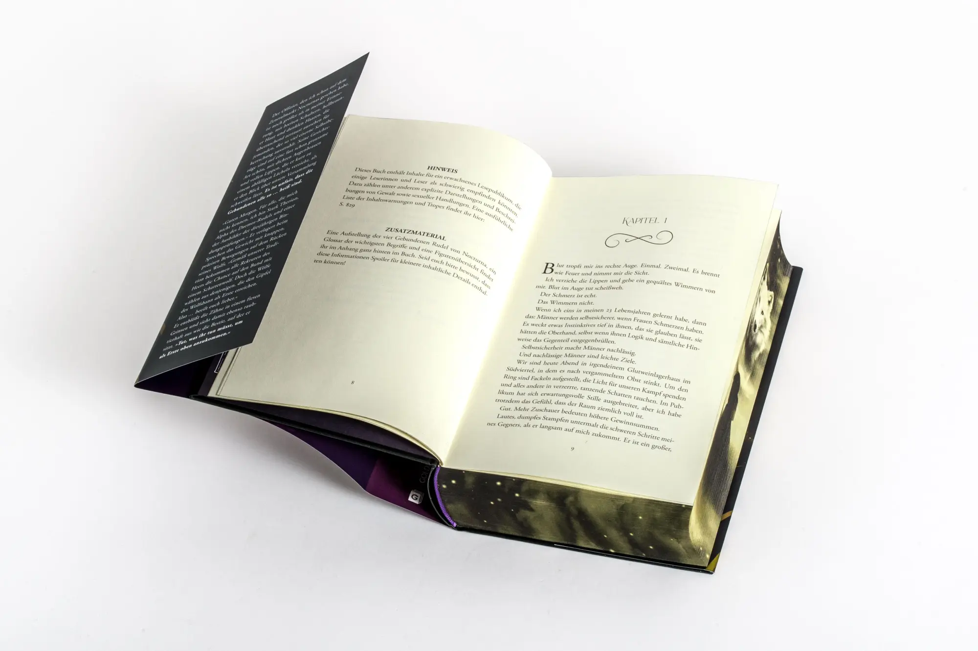 Bild: 9783442302437 | Dire Bound | Sable Sorensen | Buch | Die Wolves-of-Ruin Reihe | 832 S.