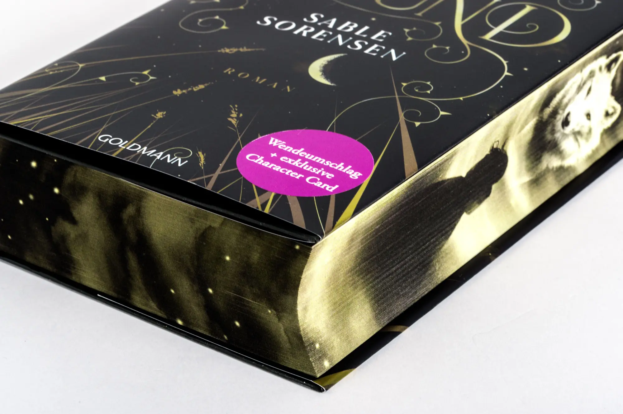 Bild: 9783442302437 | Dire Bound | Sable Sorensen | Buch | Die Wolves-of-Ruin Reihe | 832 S.