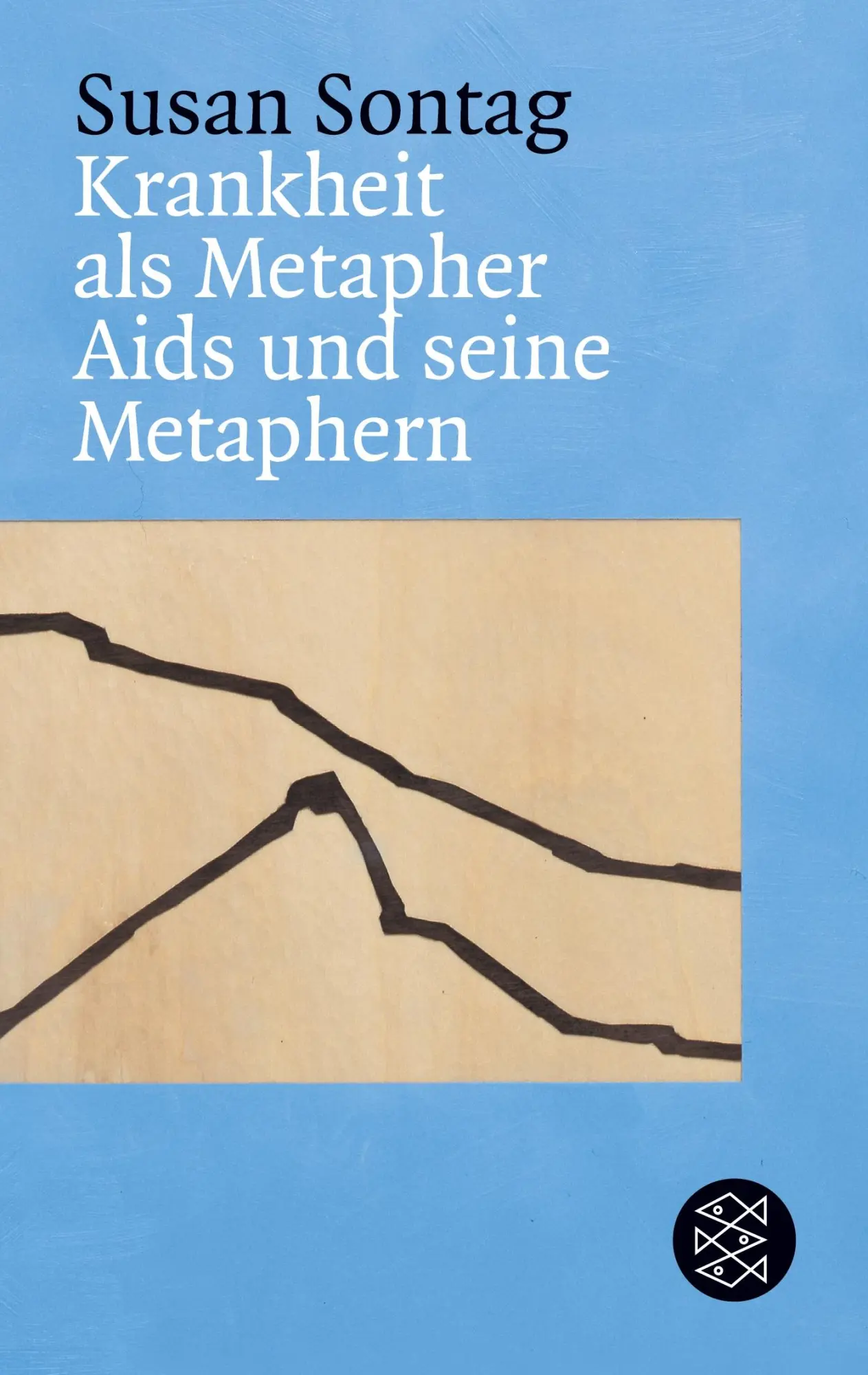 Cover: 9783596162437 | Krankheit als Metapher & Aids und seine Metaphern | Susan Sontag Cover: 9783596162437 | Krankheit als Metapher & Aids und seine Metaphern | Susan Sontag