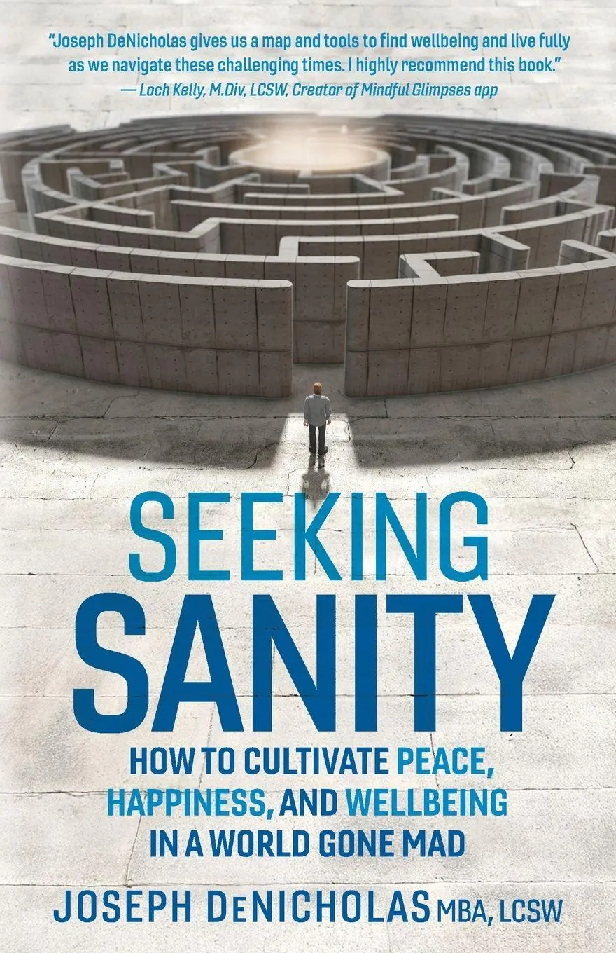 Cover: 9781951692537 | Seeking Sanity | Joseph Denicholas | Taschenbuch | Englisch | 2025