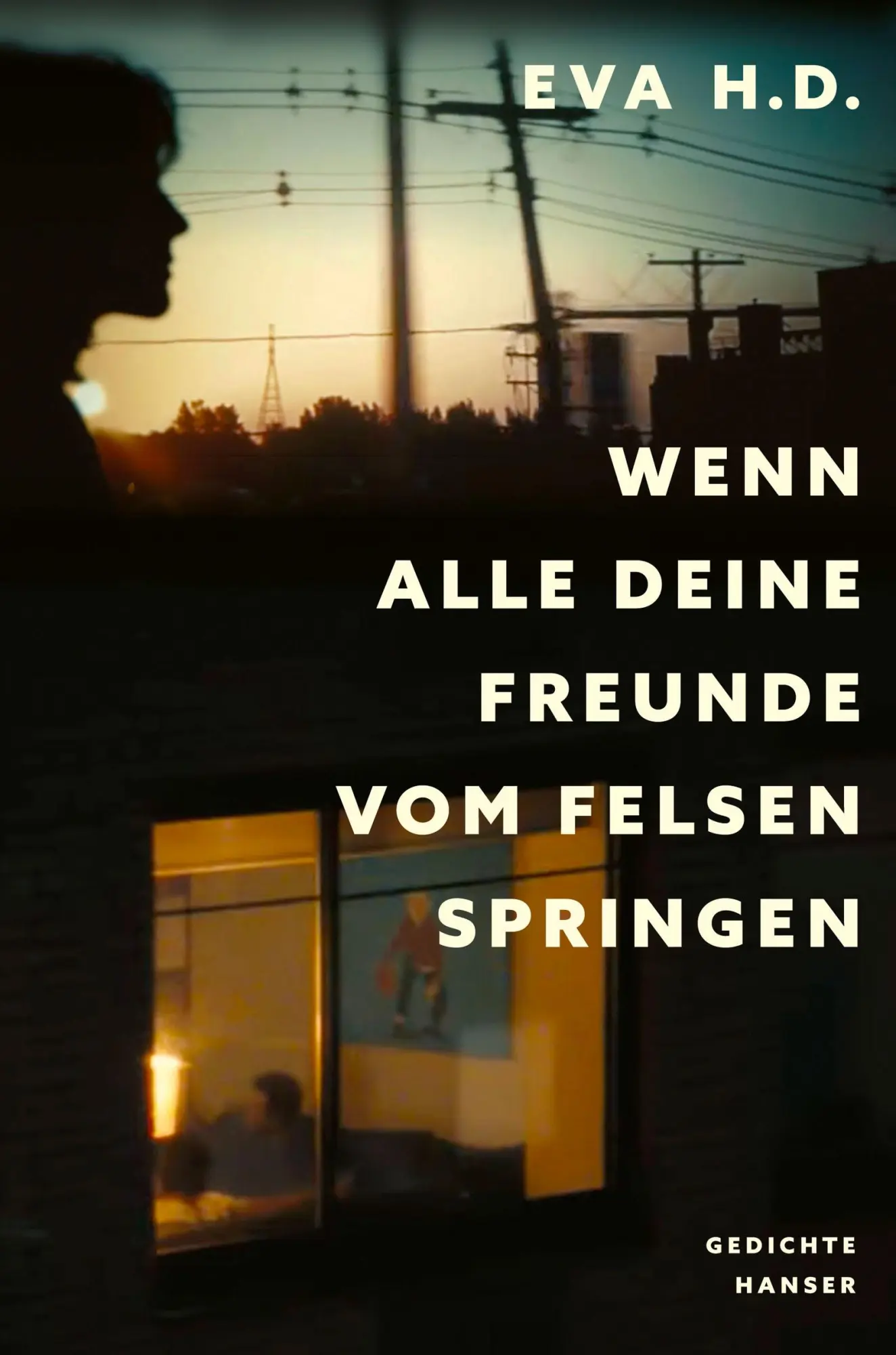 Cover: 9783446282537 | Wenn alle deine Freunde vom Felsen springen | Gedichte (zweisprachig)