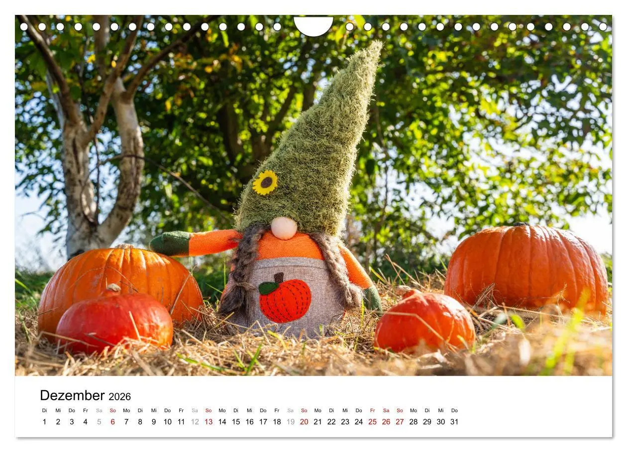 Bild: 9783457312537 | KÜRBIS KALENDER - Die schönsten Kürbisse des Jahres (Wandkalender...