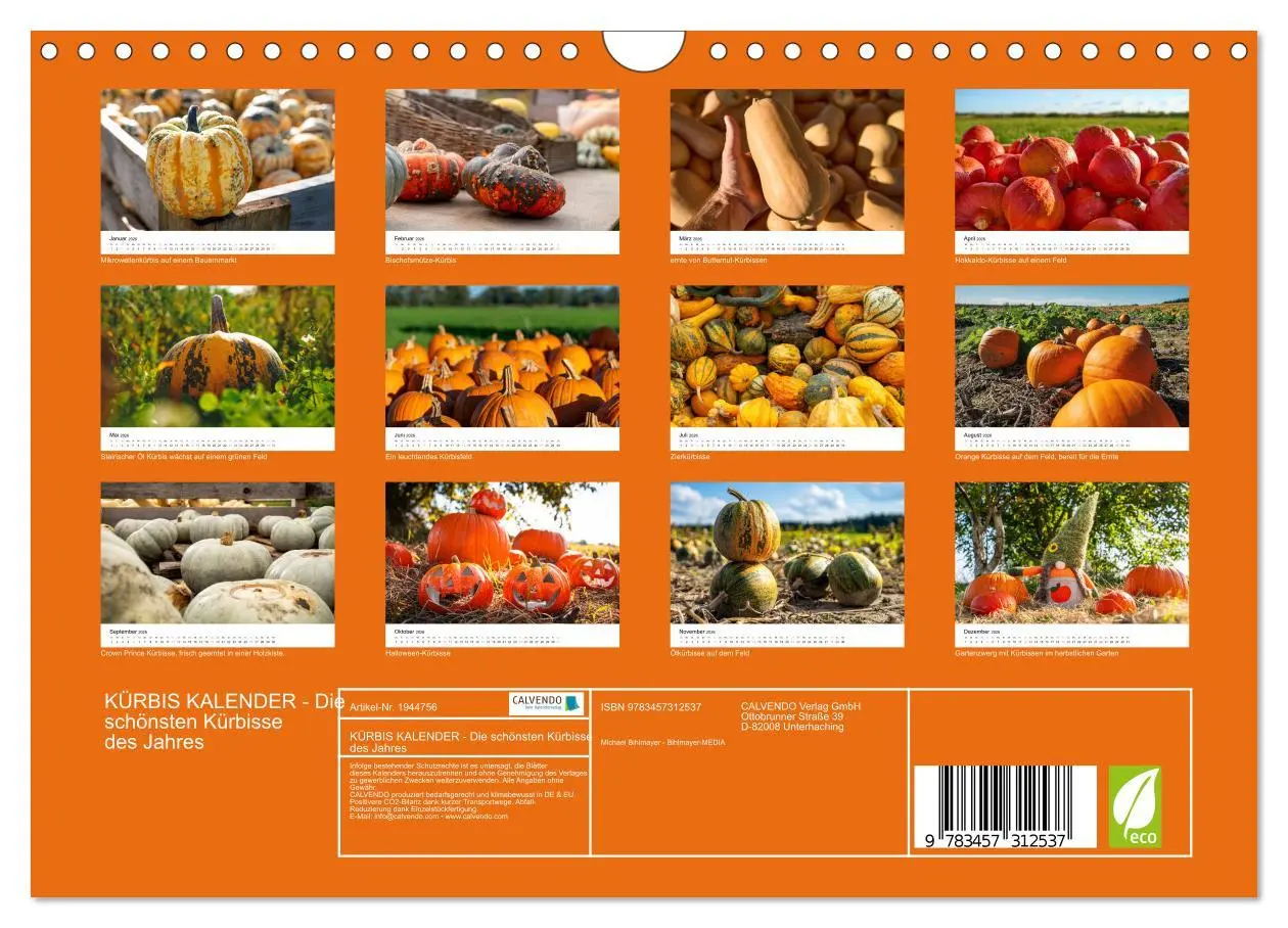 Bild: 9783457312537 | KÜRBIS KALENDER - Die schönsten Kürbisse des Jahres (Wandkalender...