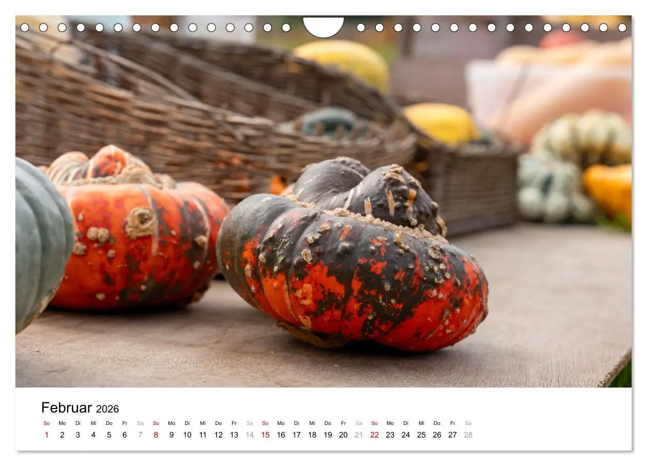 Bild: 9783457312537 | KÜRBIS KALENDER - Die schönsten Kürbisse des Jahres (Wandkalender...