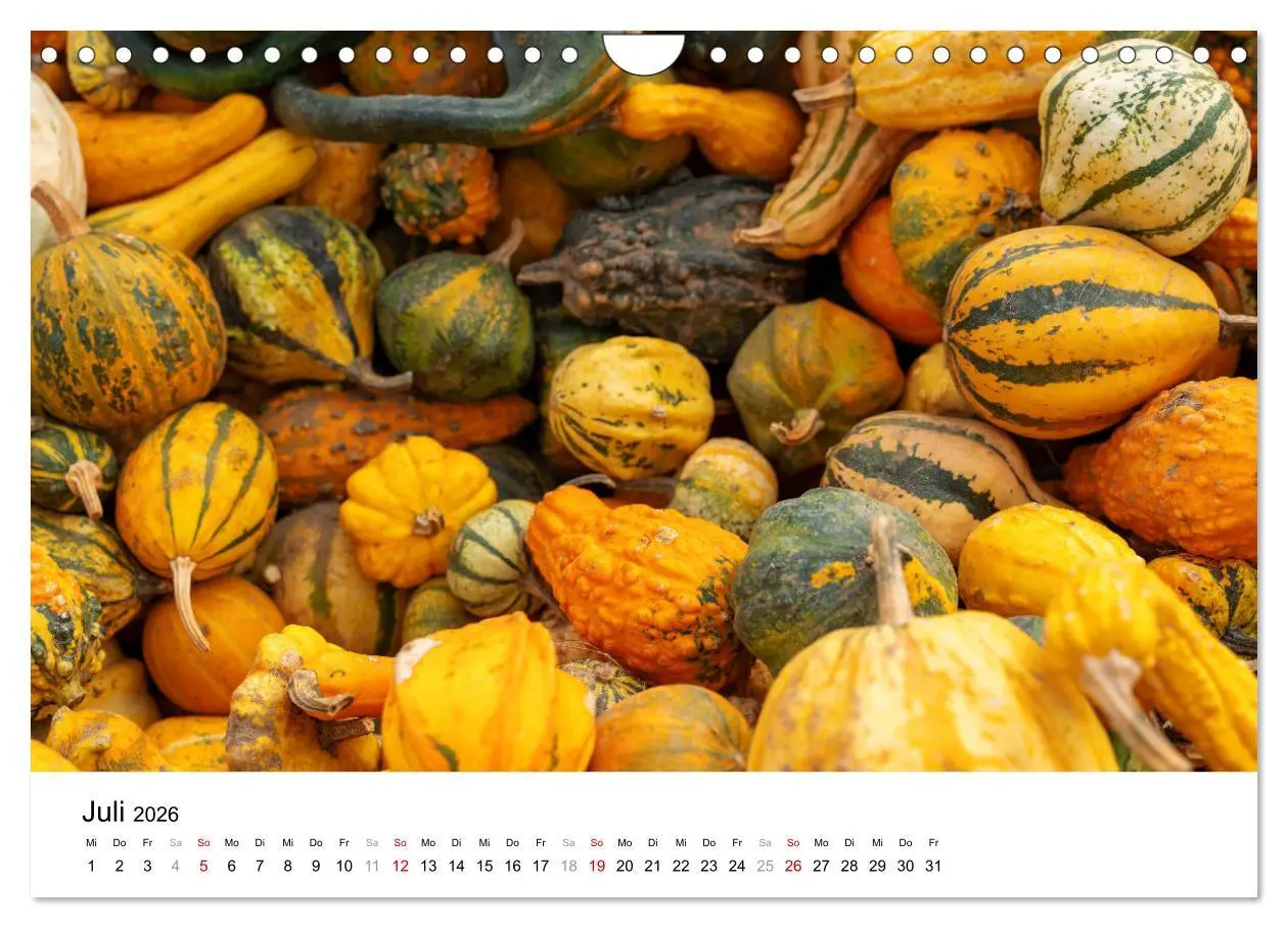 Bild: 9783457312537 | KÜRBIS KALENDER - Die schönsten Kürbisse des Jahres (Wandkalender...