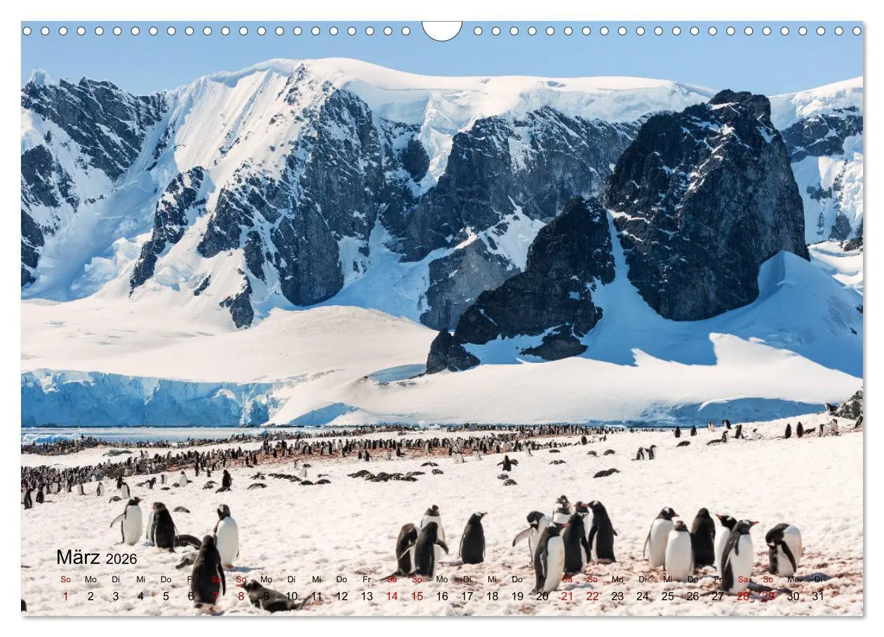 Bild: 9783457932537 | Antarktis, die eisige Heimat der Pinguine (Wandkalender 2026 DIN A3...