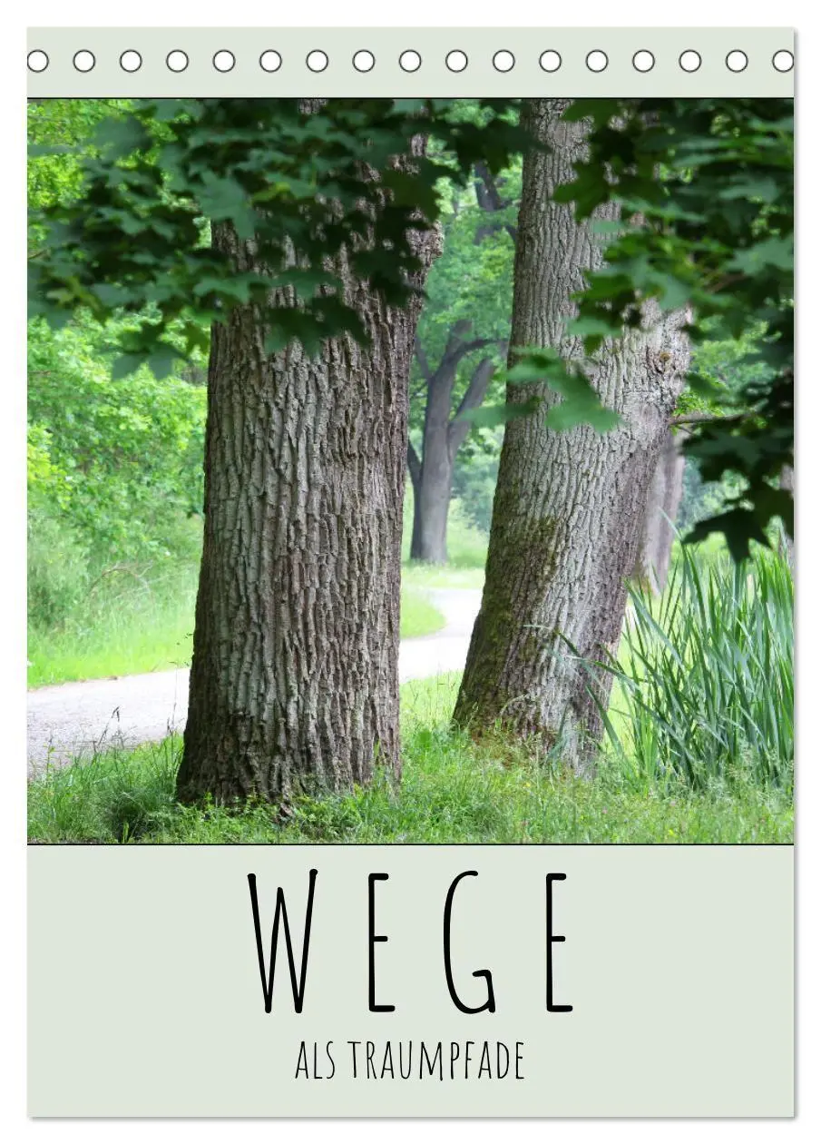 Cover: 9783594242537 | Wege als Traumpfade (Tischkalender 2027 DIN A5 hoch), CALVENDO...