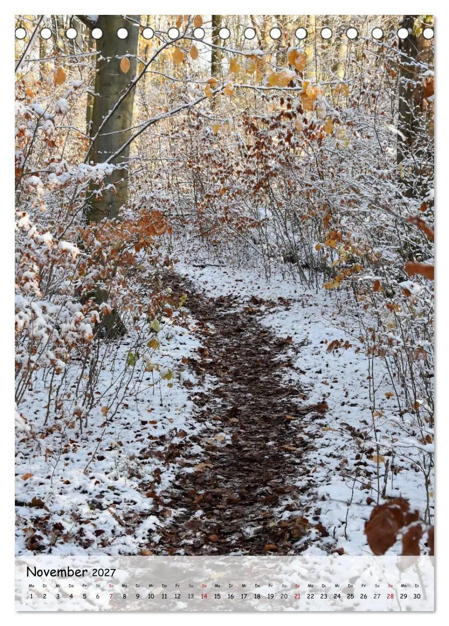 Bild: 9783594242537 | Wege als Traumpfade (Tischkalender 2027 DIN A5 hoch), CALVENDO...