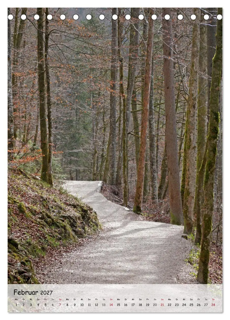 Bild: 9783594242537 | Wege als Traumpfade (Tischkalender 2027 DIN A5 hoch), CALVENDO...