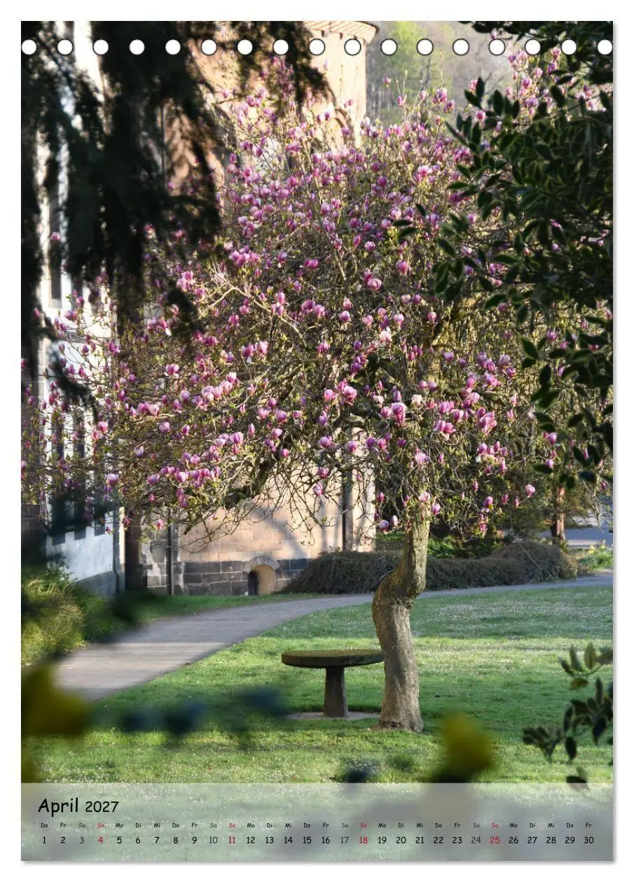 Bild: 9783594242537 | Wege als Traumpfade (Tischkalender 2027 DIN A5 hoch), CALVENDO...
