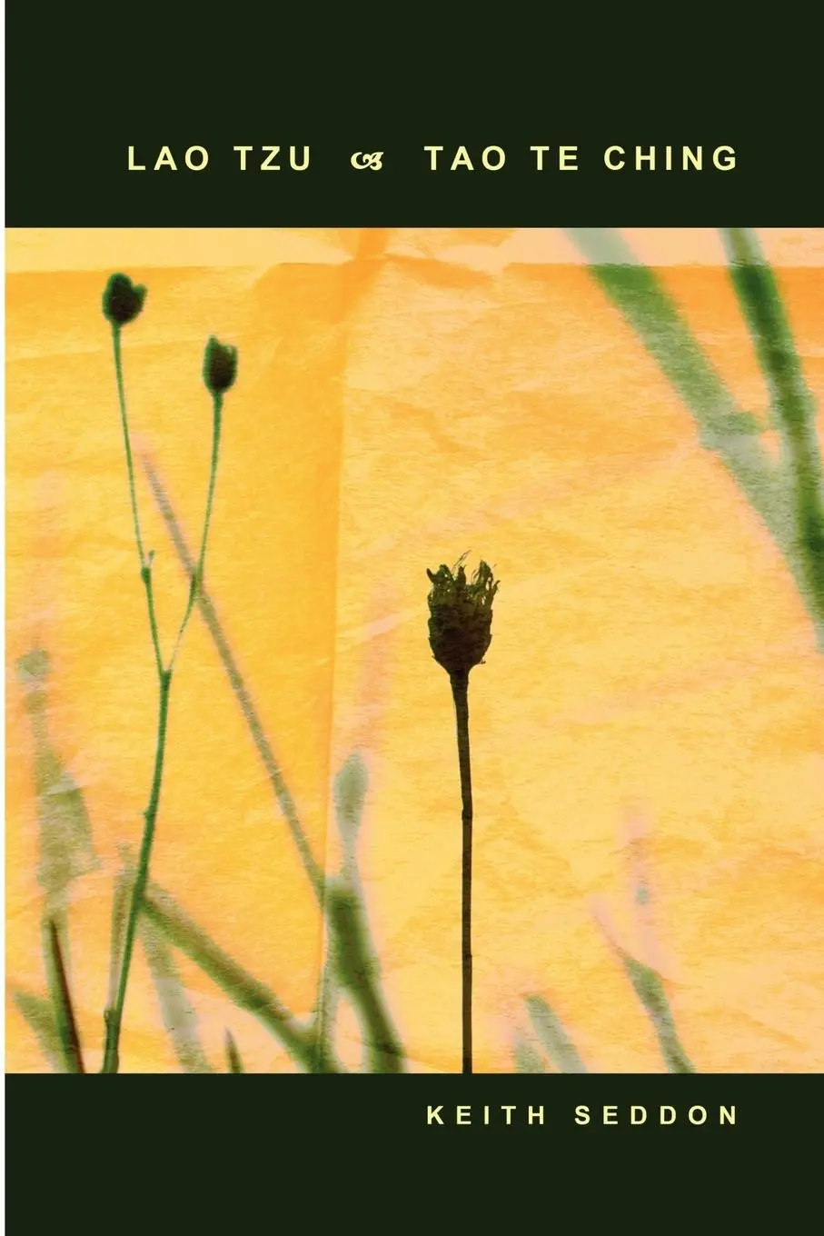 Cover: 9781847282637 | Lao Tzu | Tao Te Ching | Keith Seddon | Taschenbuch | Englisch | 2006