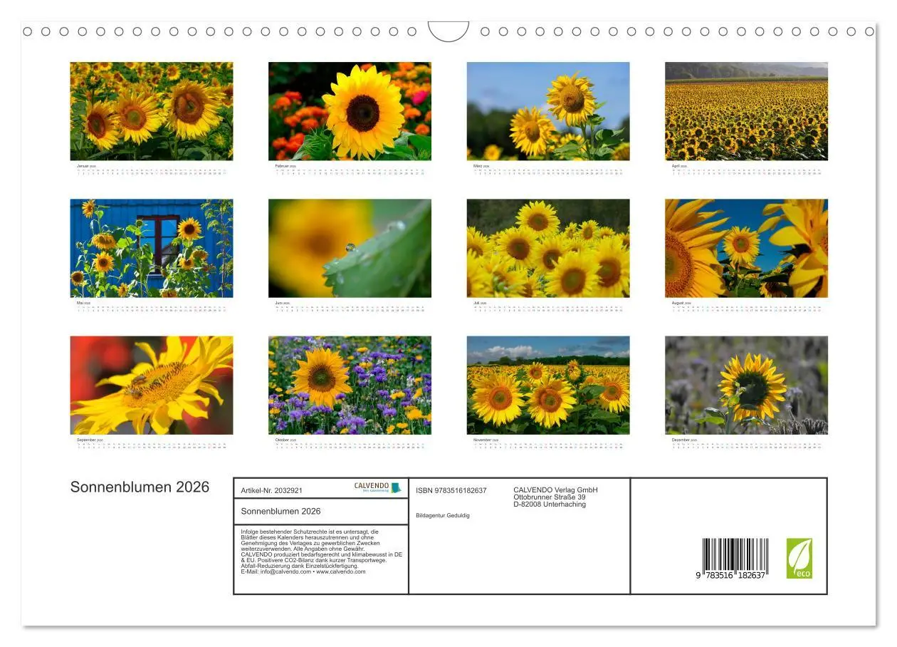 Bild: 9783516182637 | Sonnenblumen 2026 (Wandkalender 2026 DIN A3 quer), CALVENDO...