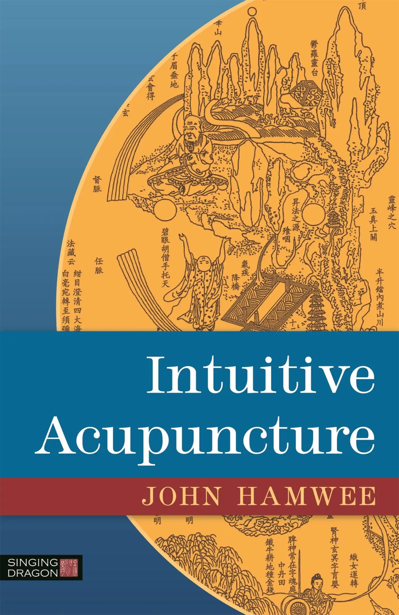 Cover: 9781848192737 | Intuitive Acupuncture | John Hamwee | Taschenbuch | Englisch | 2015