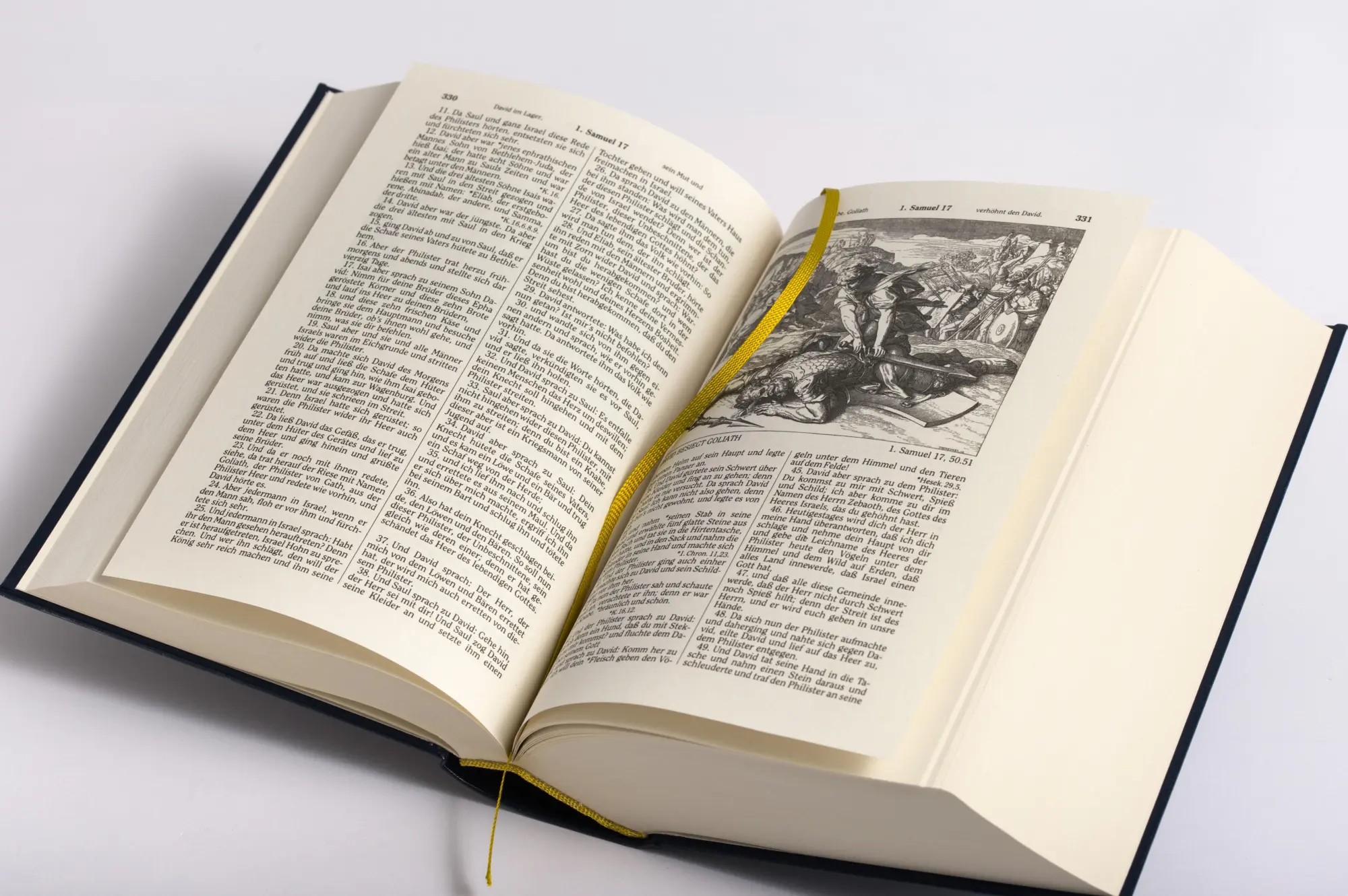 Bild: 9783730602737 | Die Bibel - Altes und Neues Testament (Cabra-Leder-Ausgabe) | Luther
