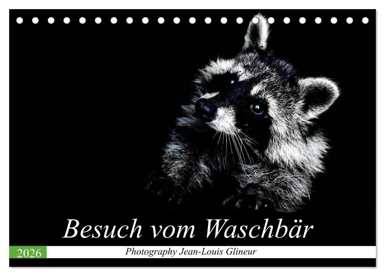 Cover: 9783457692837 | Besuch vom Waschbär (Tischkalender 2026 DIN A5 quer), CALVENDO...