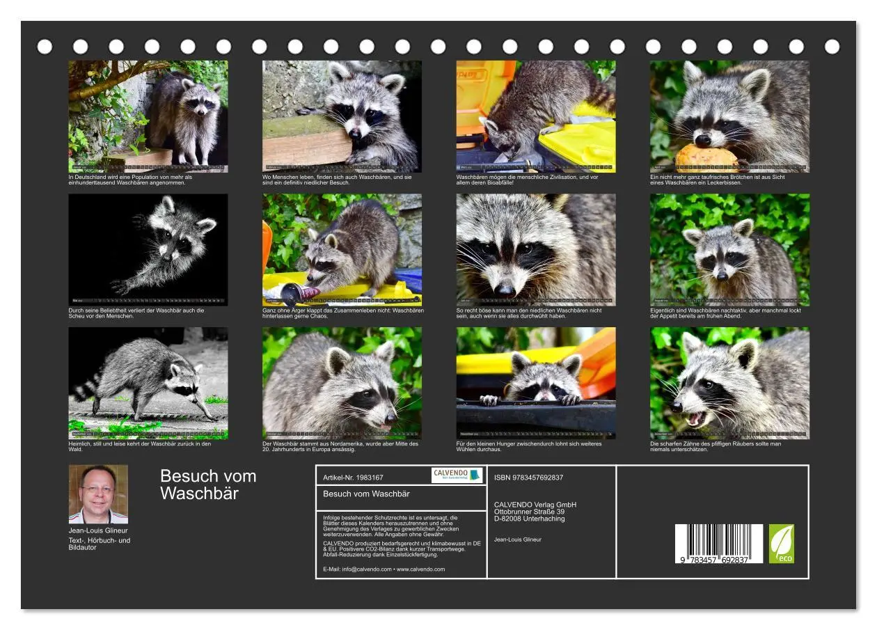 Bild: 9783457692837 | Besuch vom Waschbär (Tischkalender 2026 DIN A5 quer), CALVENDO...