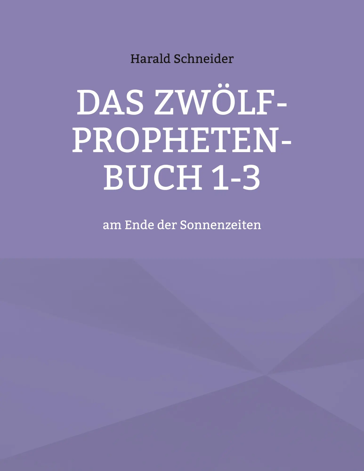 Cover: 9783755752837 | Das Zwölf-Propheten-Buch 1-3 | am Ende der Sonnenzeiten | Schneider