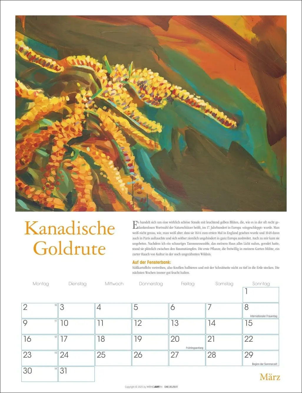 Bild: 9783839902837 | DIE ZEIT Neulich im Beet Kalender 2026 | Stefanie Flamm | Kalender