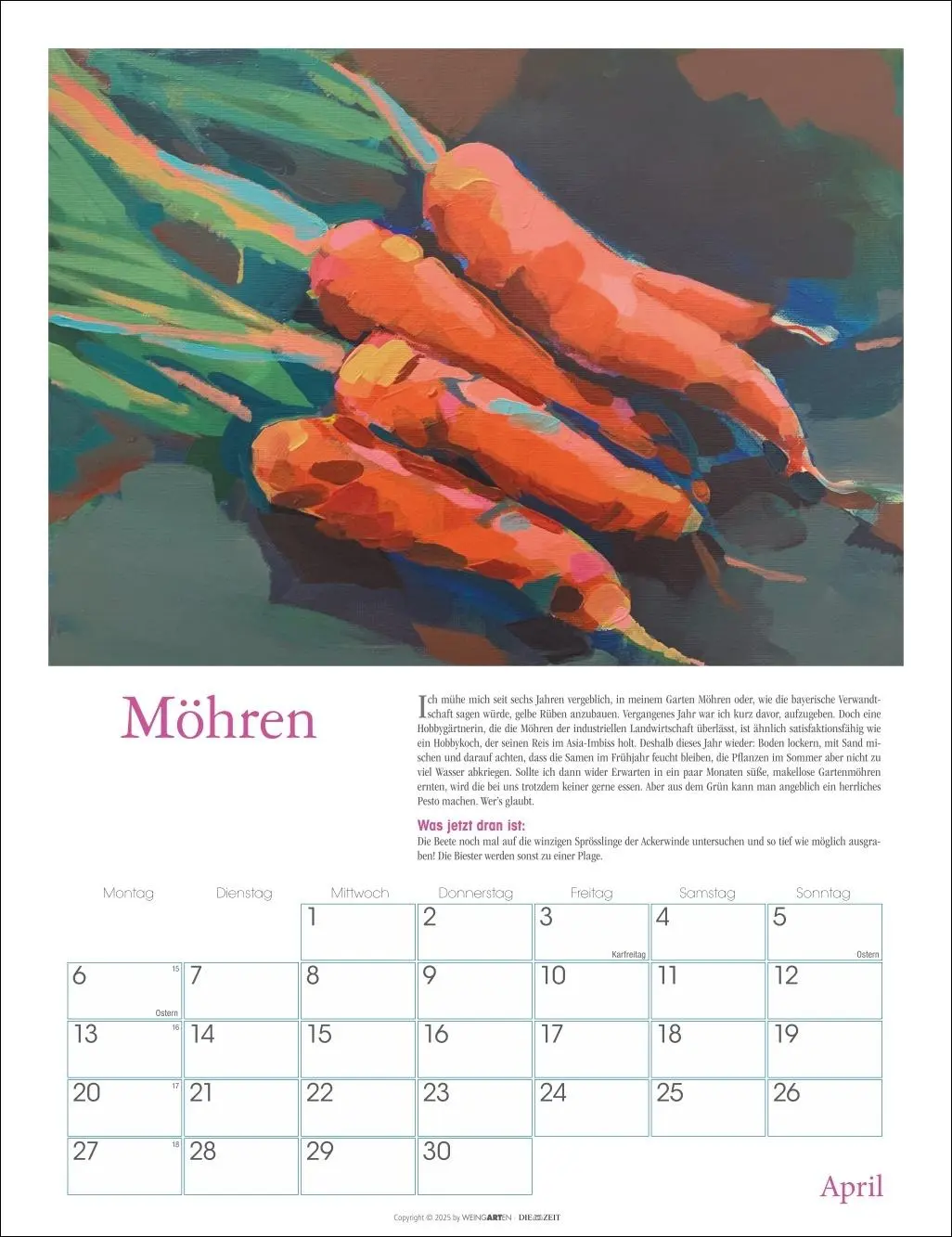 Bild: 9783839902837 | DIE ZEIT Neulich im Beet Kalender 2026 | Stefanie Flamm | Kalender