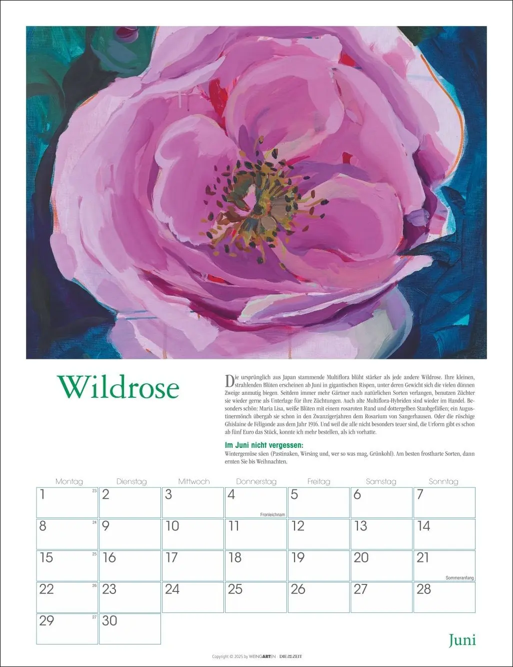 Bild: 9783839902837 | DIE ZEIT Neulich im Beet Kalender 2026 | Stefanie Flamm | Kalender