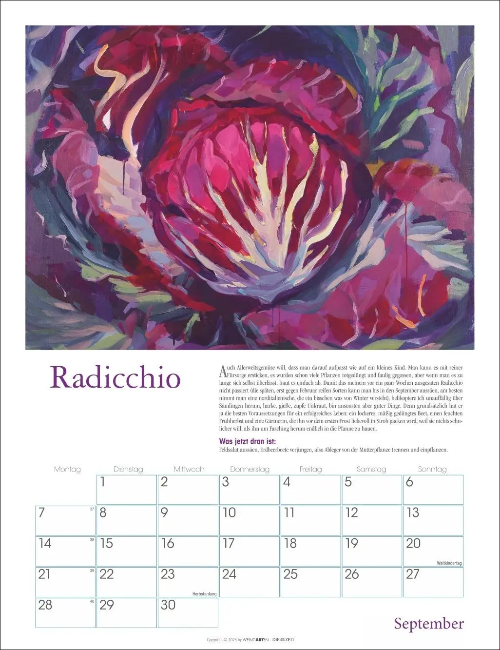 Bild: 9783839902837 | DIE ZEIT Neulich im Beet Kalender 2026 | Stefanie Flamm | Kalender