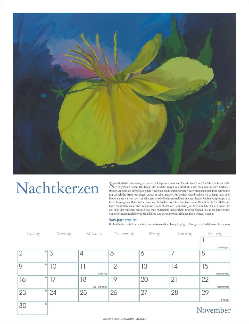 Bild: 9783839902837 | DIE ZEIT Neulich im Beet Kalender 2026 | Stefanie Flamm | Kalender