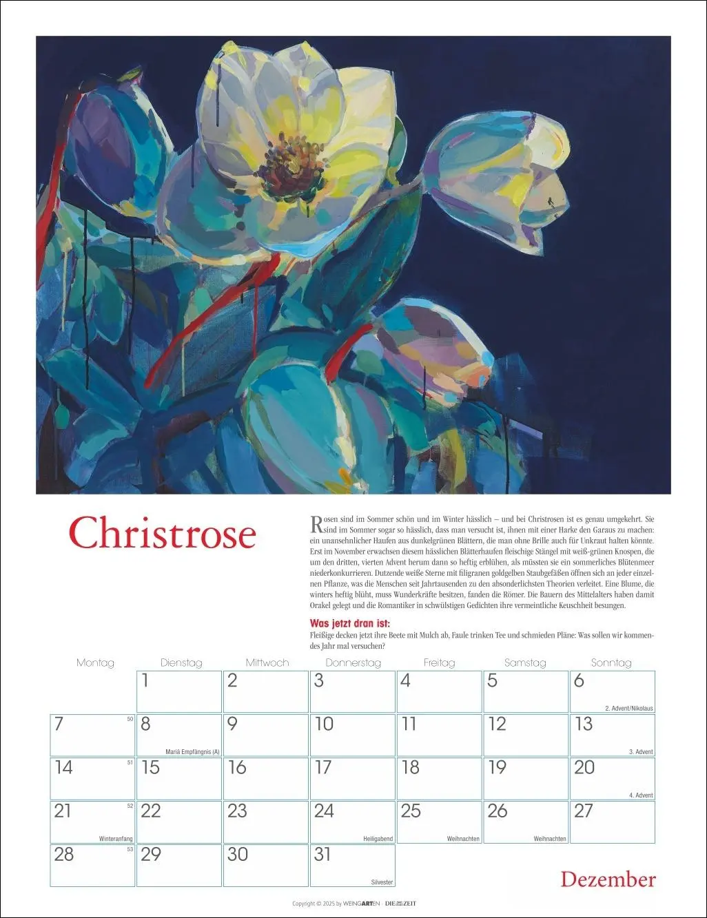 Bild: 9783839902837 | DIE ZEIT Neulich im Beet Kalender 2026 | Stefanie Flamm | Kalender