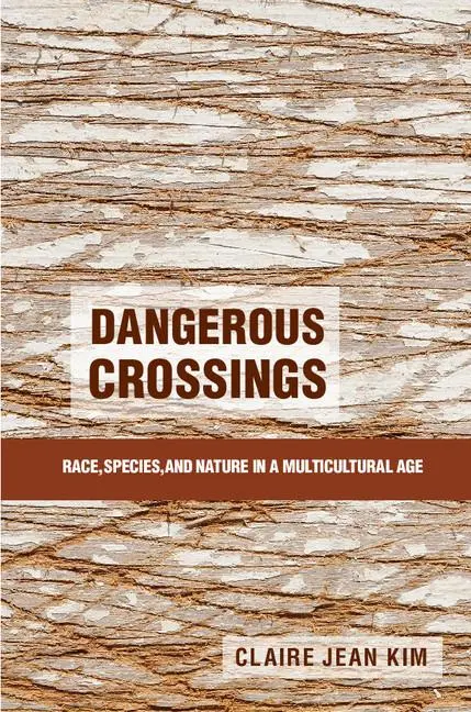 Cover: 9781107622937 | Dangerous Crossings | Claire Jean Kim | Taschenbuch | Englisch | 2017