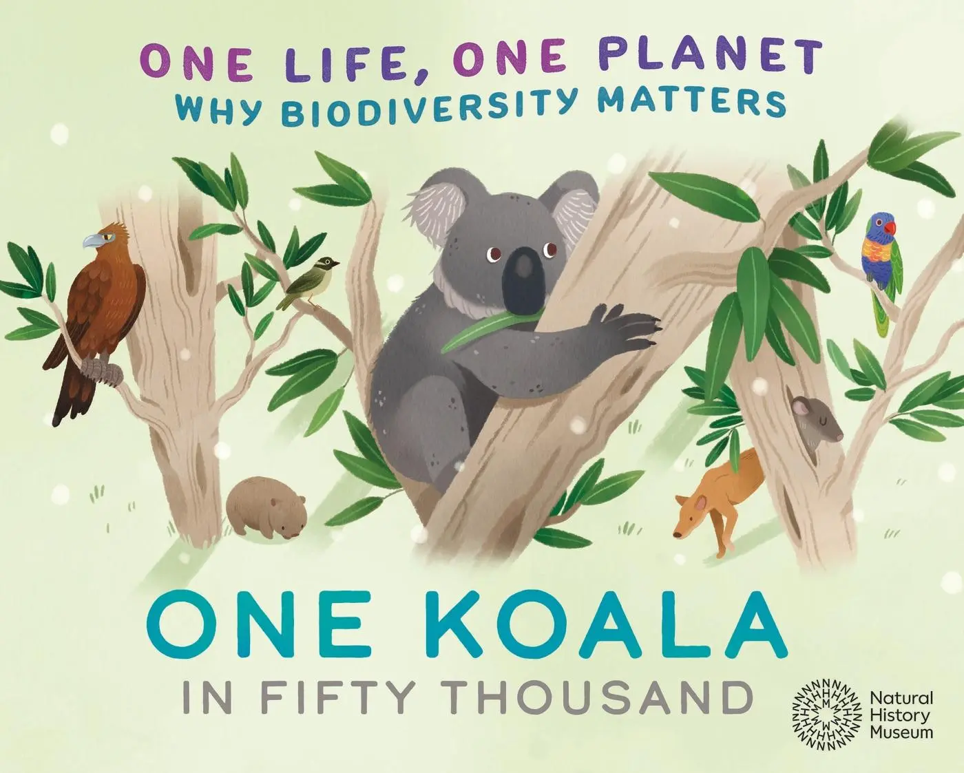 Cover: 9781526322937 | One Life, One Planet: One Koala in Fifty Thousand | Sarah Ridley