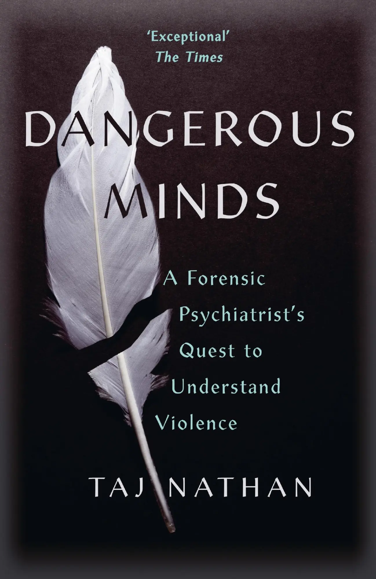 Cover: 9781529392937 | Dangerous Minds | Taj Nathan | Taschenbuch | Kartoniert / Broschiert
