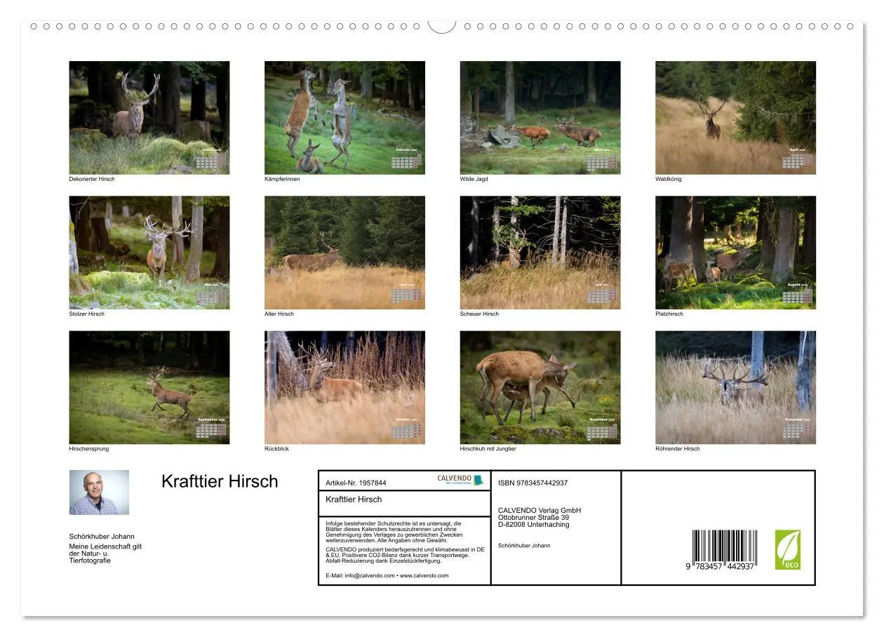 Bild: 9783457442937 | Krafttier Hirsch (hochwertiger Premium Wandkalender 2026 DIN A2...