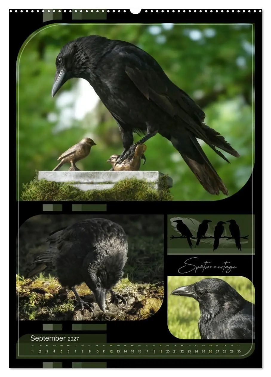 Bild: 9783569002937 | Krähen - Im Wandel der Jahreszeiten (Wandkalender 2027 DIN A2...