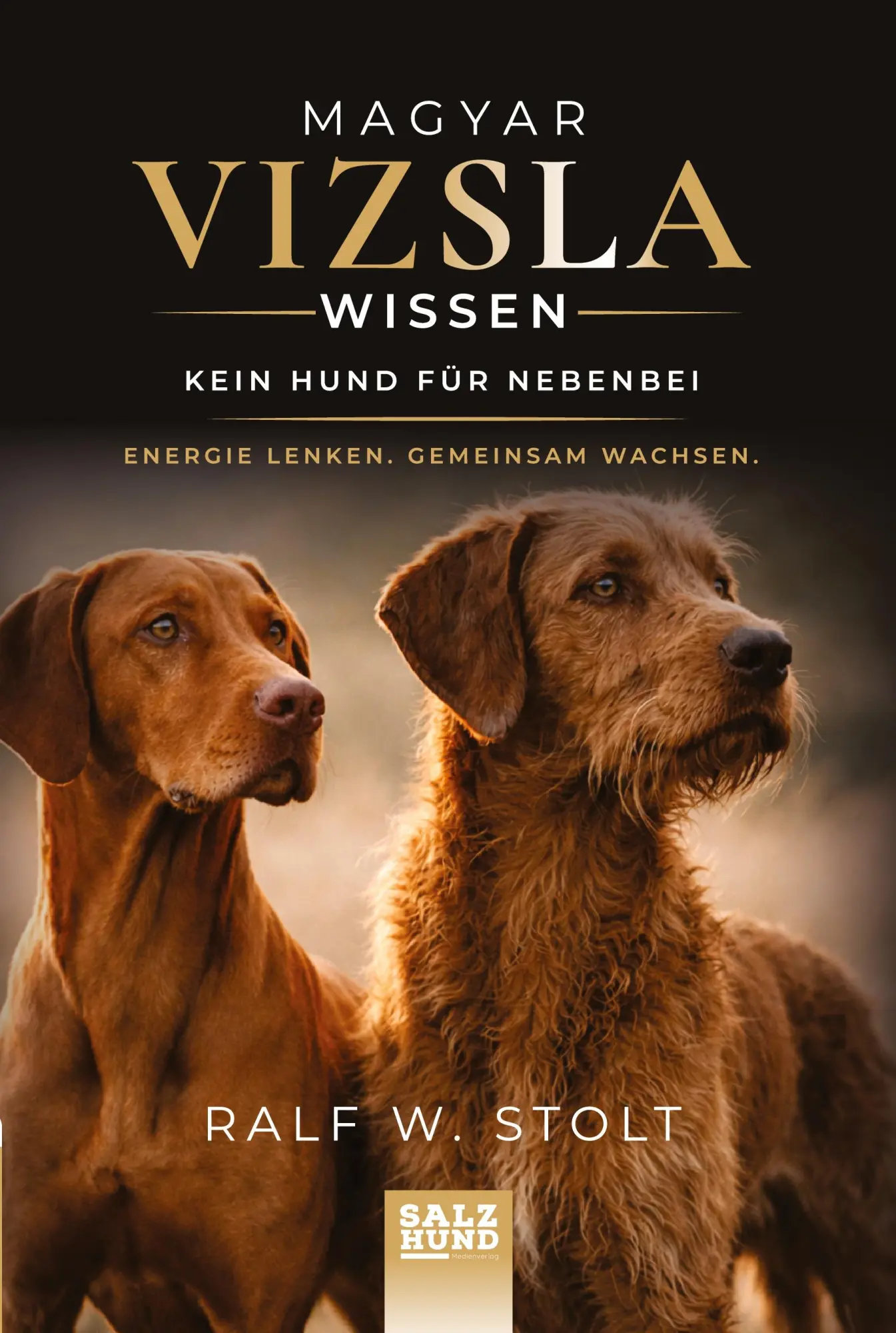 Cover: 9783384903037 | Magyar Vizsla Wissen: Kein Hund für nebenbei | Ralf Stolt | Buch