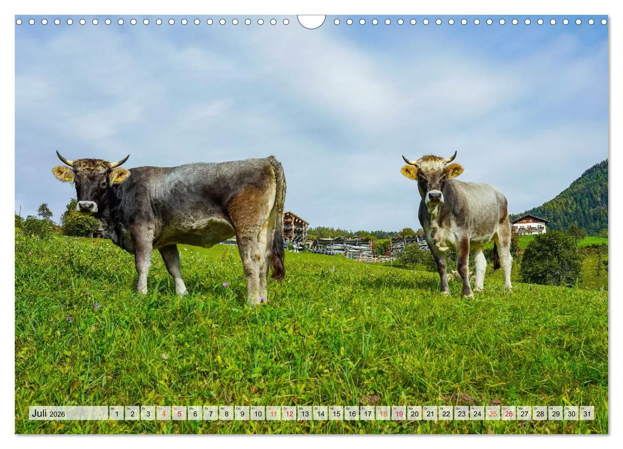 Bild: 9783457263037 | Südtirol Impressionen (Wandkalender 2026 DIN A3 quer), CALVENDO...