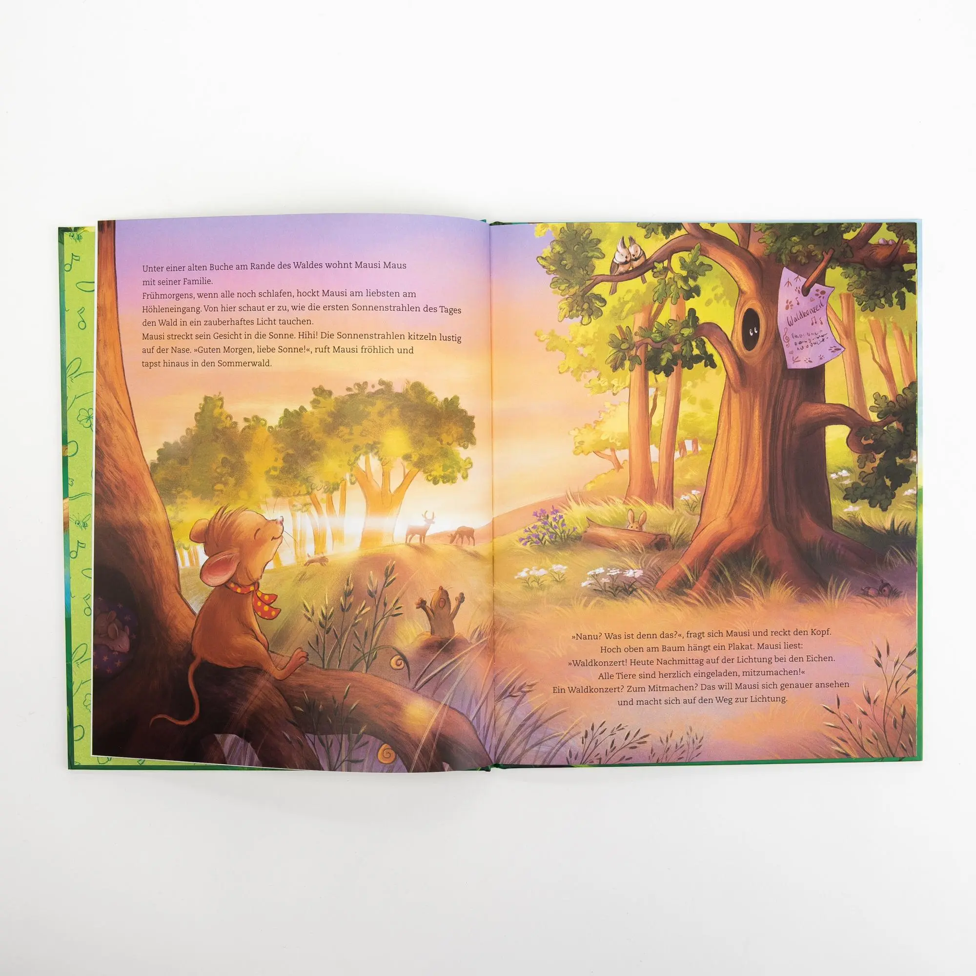 Bild: 9783505153037 | Simone Sommerland. Mach mit, Mausi Maus! | Simone Sommerland | Buch