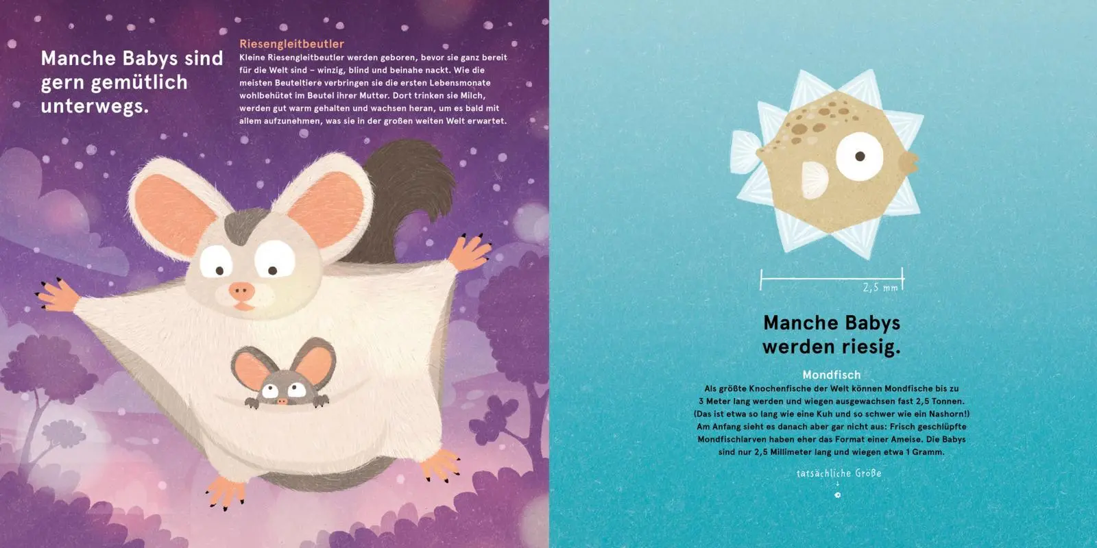 Bild: 9783551523037 | Wilde Babys | Philip Bunting | Buch | 32 S. | Deutsch | 2024