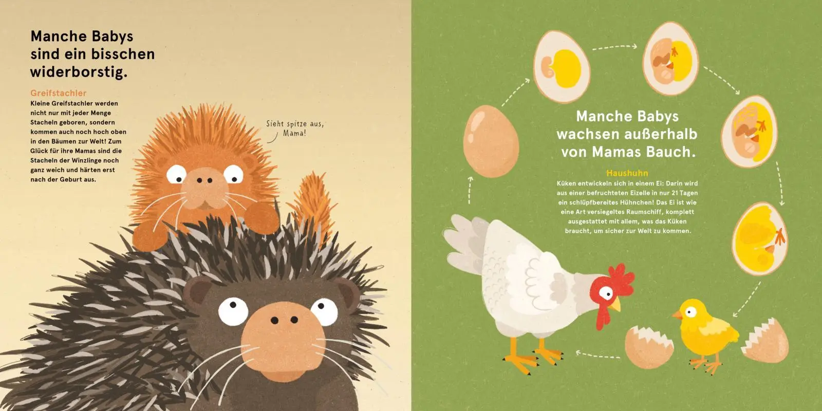 Bild: 9783551523037 | Wilde Babys | Philip Bunting | Buch | 32 S. | Deutsch | 2024