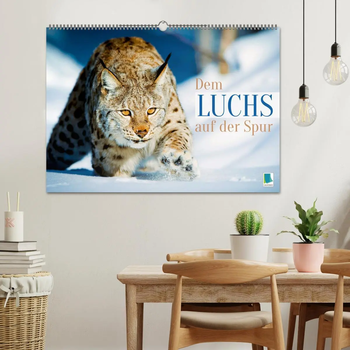Bild: 9783457943137 | Dem Luchs auf der Spur (Wandkalender 2026 DIN A2 quer), CALVENDO...
