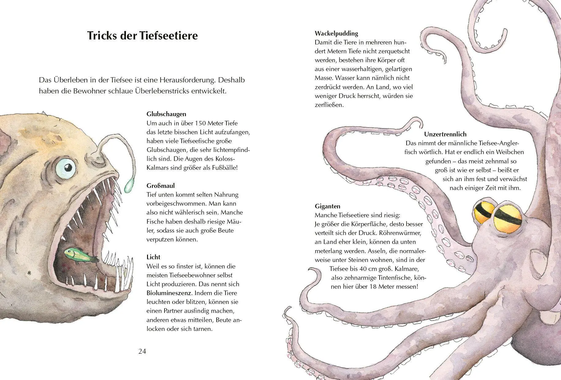 Bild: 9783570183137 | Alles klar! Der kleine Drache Kokosnuss erforscht die Ozeane | Siegner