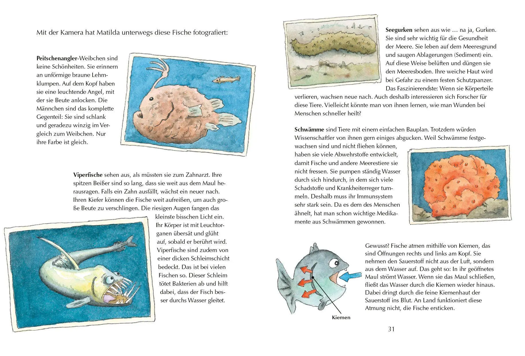 Bild: 9783570183137 | Alles klar! Der kleine Drache Kokosnuss erforscht die Ozeane | Siegner