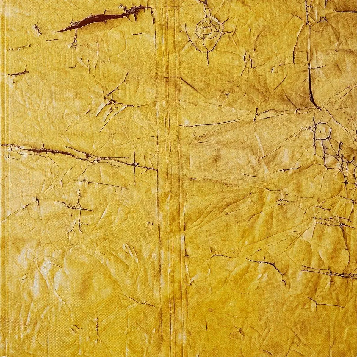 Cover: 9783907493137 | David Hammons | Linda Goode Bryant | Buch | Englisch | 2025