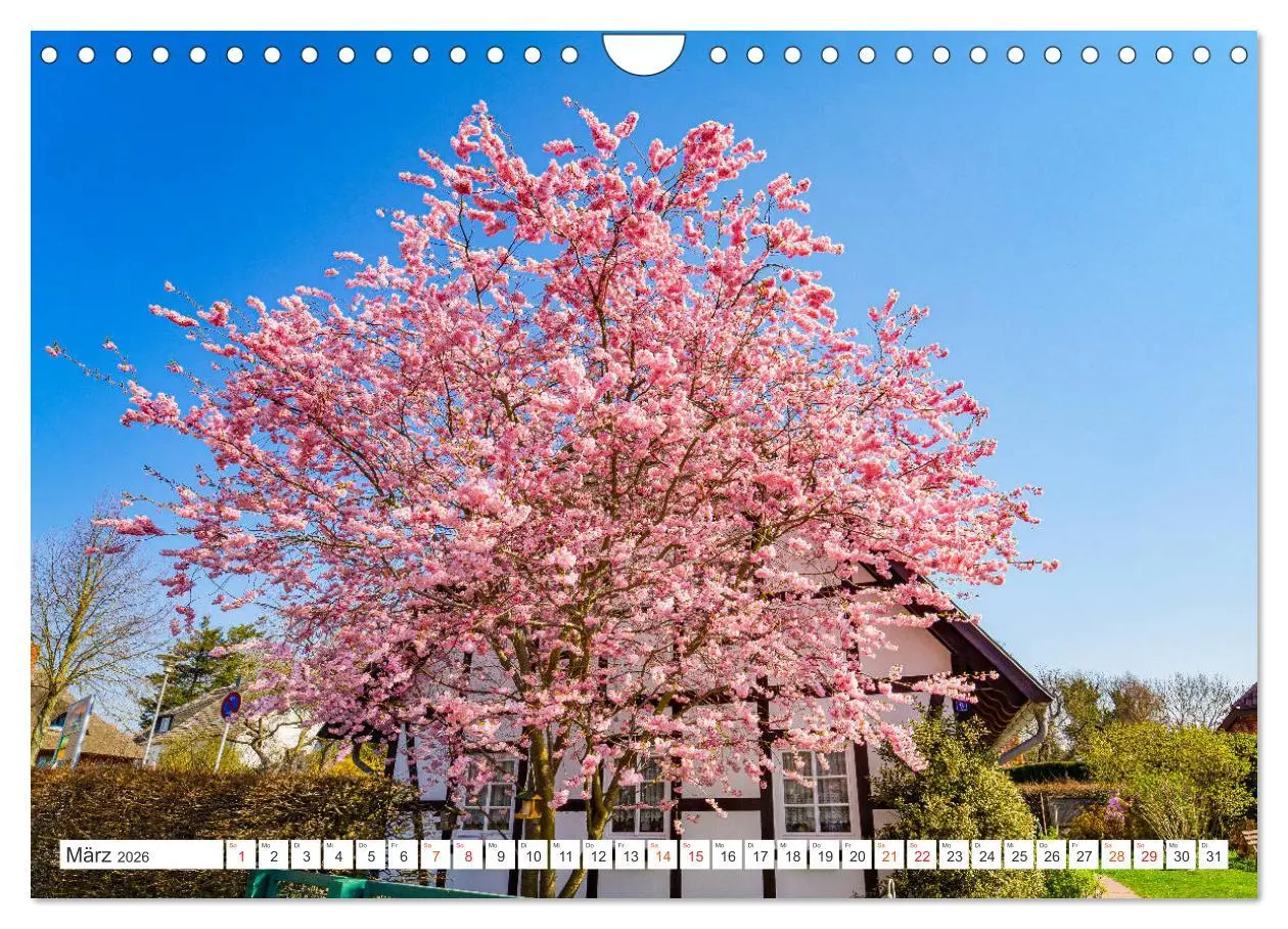 Bild: 9783457793237 | Wustrow Impressionen (Wandkalender 2026 DIN A4 quer), CALVENDO...