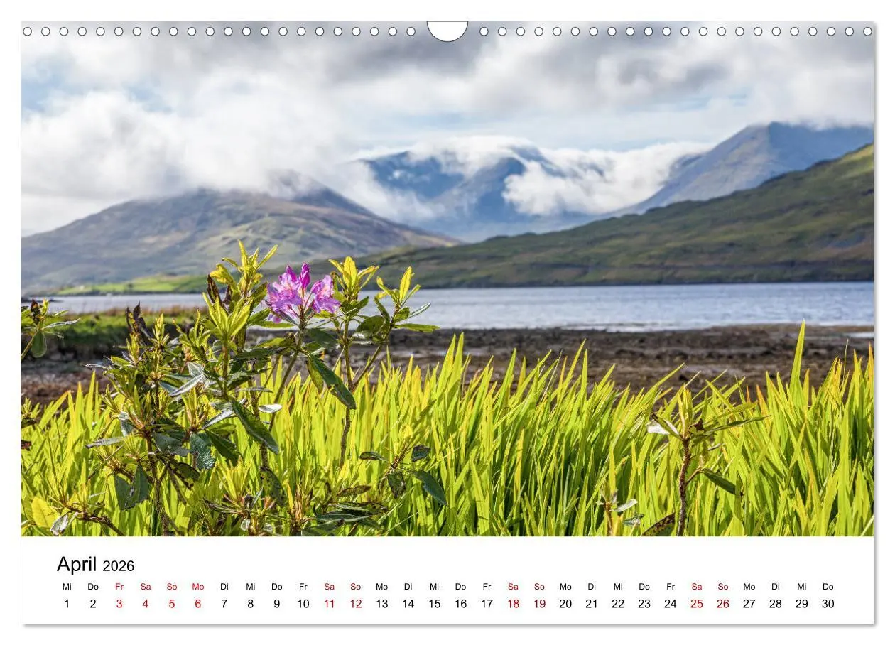 Bild: 9783457773437 | Irland, Land des Lichts (Wandkalender 2026 DIN A3 quer), CALVENDO...