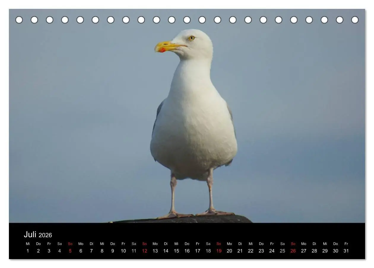 Bild: 9783516163537 | Cuxhaven an der Nordsee (Tischkalender 2026 DIN A5 quer), CALVENDO...