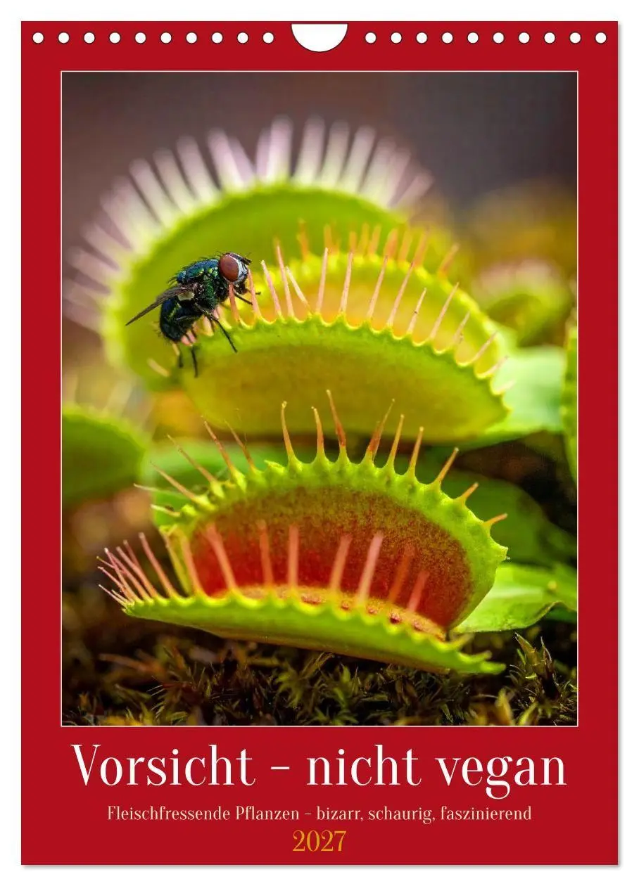 Cover: 9783516783537 | Vorsicht - nicht vegan (Wandkalender 2027 DIN A4 hoch), CALVENDO...