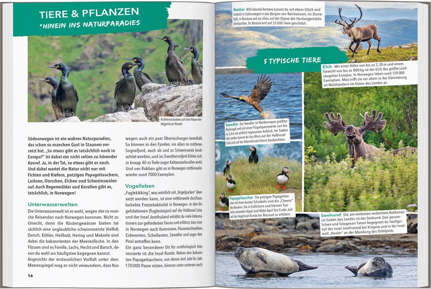 Bild: 9783575023537 | MARCO POLO OUTDOOR GUIDE Reiseführer Südnorwegen | Martin Schmidt
