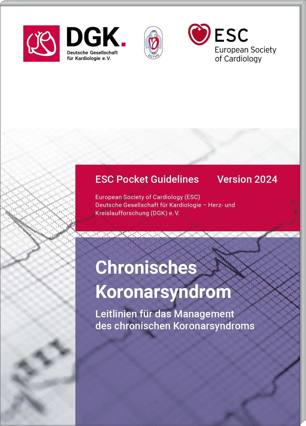 Cover: 9783898623537 | Chronisches Koronarsyndrom | Deutsche Gesellschaft | Broschüre | 76 S.